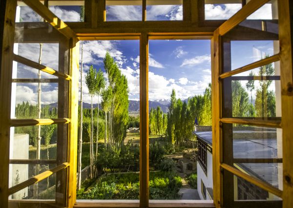 Cost of Wood Window Replacement in Spokane